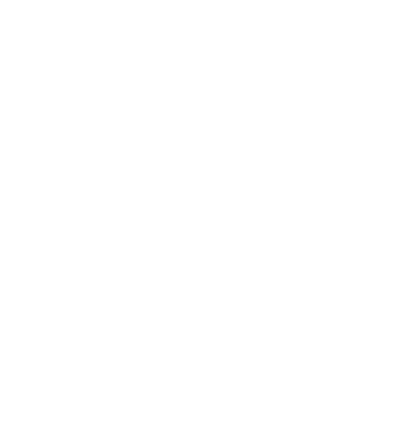 THE VIRGO
