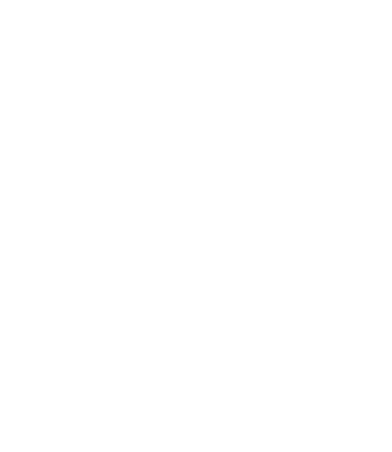 VIRGO REGINA
